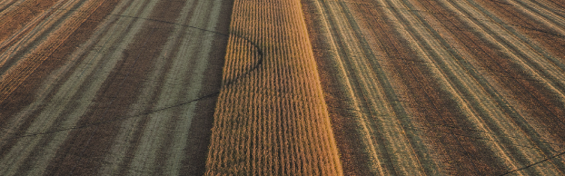 obp_agency's tweet photo. https://t.co/l1xtGRBazU

We love helping brands tell stories about tending the land and traveling it. https://t.co/xqssZmtwNY