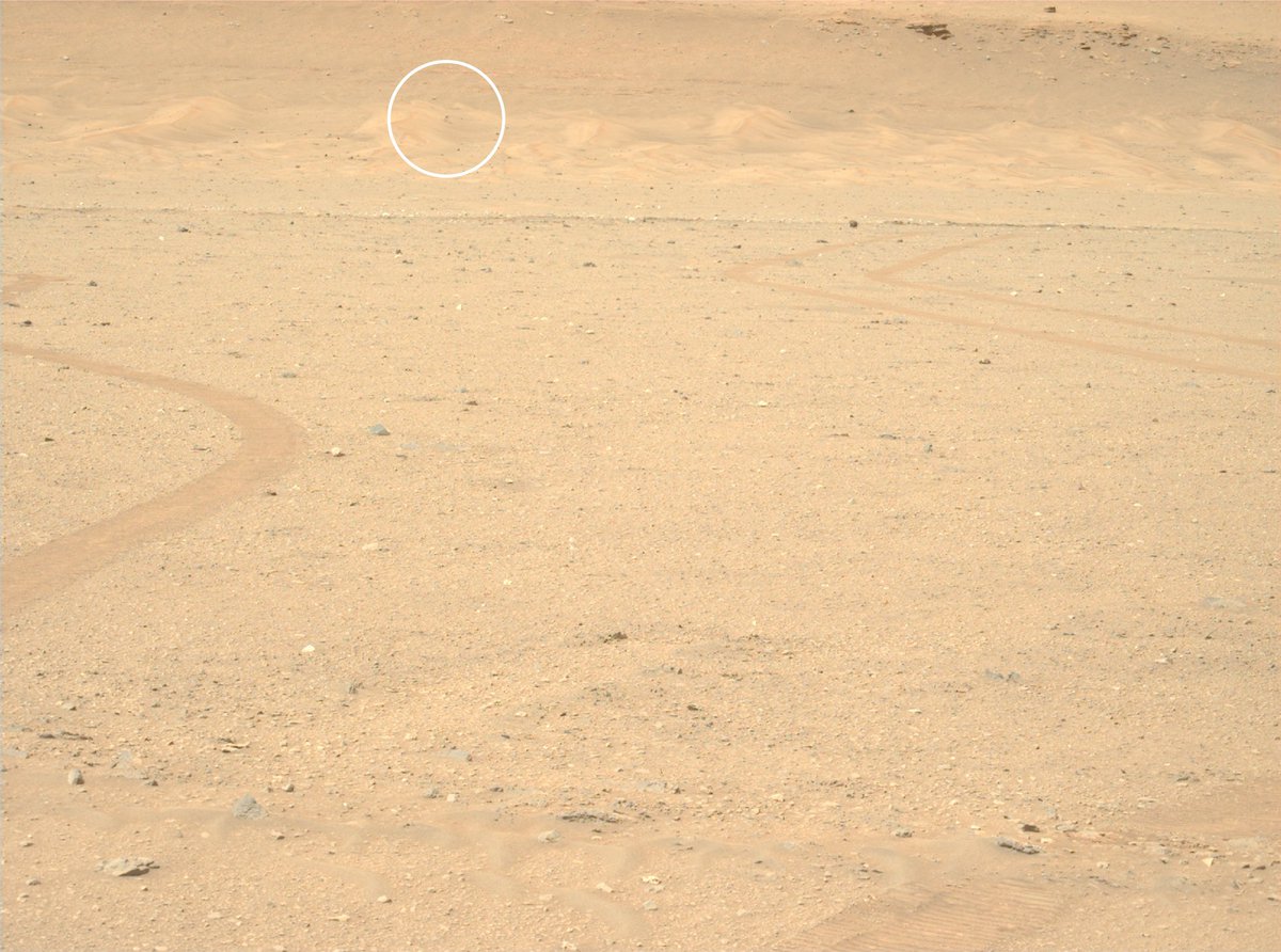 AsgardiaSpace's tweet image. We have eyes on Ingenuity! The Perseverance rover spotted the Mars Helicopter as it nestles safely on a dune on the Red Planet in these amazing images. So exciting! 🚀🛰️👨‍🚀

#NASA #PerseveranceRover #IngenuityMarsHelicopter