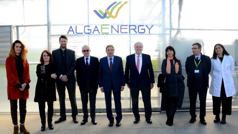 gobmapa's tweet image. El ministro @LuisPlanas ha visitado, hoy, la planta piloto de @AlgaEnergy para la producción de #microalgas que se aplican en la mejora de los #cultivos #agrícolas.
