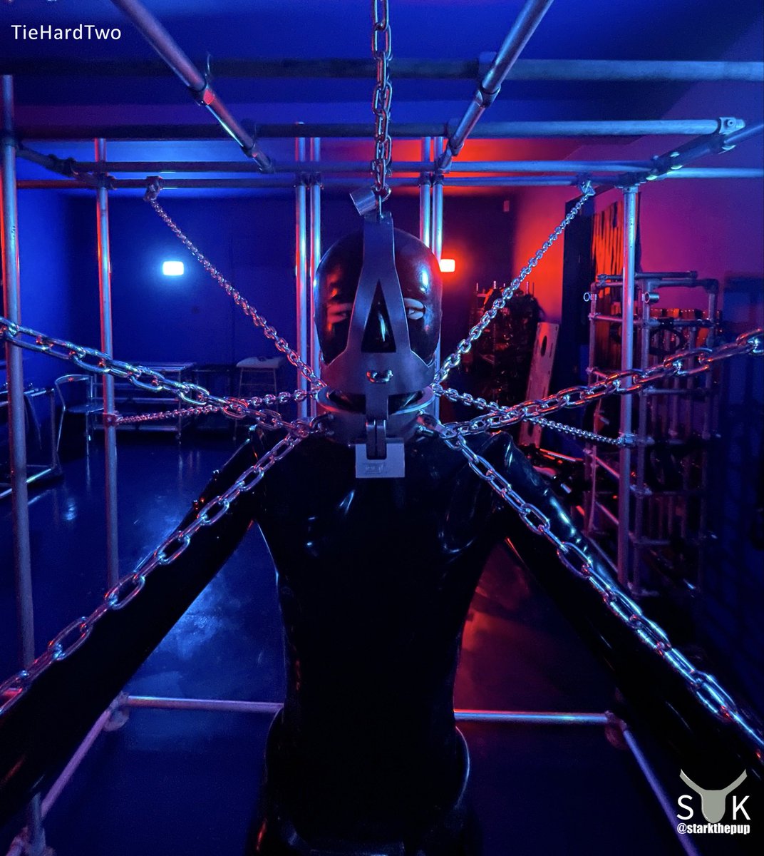 Gimp Terminator🤖 “ I WILL BE BACK!”……Oh Wait Actually…. I’m not going anywhere😳