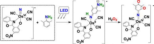 bhkenlo's tweet photo. Ring Nitrogenation of Aromatic Amines by the Excited State of an Osmium(VI) Nitrido Complex https://t.co/i7V7kwQaES Xiang, Lau, and co-workers @InorgChem #osmium
#nitrodo #ring #nitrogenation #aromatic #amines #luminescence #ET #PT #OsVNH #Ar2Nradical https://t.co/hgfa62Fqyy