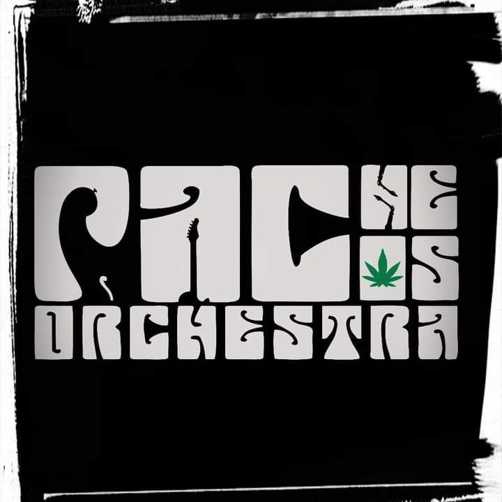 Pachecos Orchestra tweet media