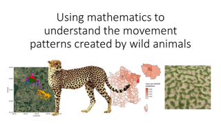 HPC2MSU's tweet photo. Geosystems Research Institute Postdoc. @NatashaMaths, a Jan. GRI Seminar speaker., moved from @OfficialUoM to @msstate to work. w/ @street_ecology in @MSU_CFR. Using math models, Ellison studies movement patterns made by wild animals in natural habitats. https://t.co/aFhPRY05nV https://t.co/PbIt0NhhmX