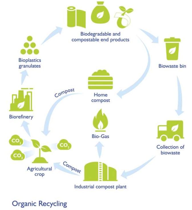 ColumbusBio's tweet photo. Studies have shown that #bioplastics can stand to contribute to more sustainable commercial plastic life cycles as part of a circular economy. 

But how can we assess the advantages and challenges of this transition?

Read this article to find out more: https://t.co/YuuW0TQtoK https://t.co/N3hBtAE6vU