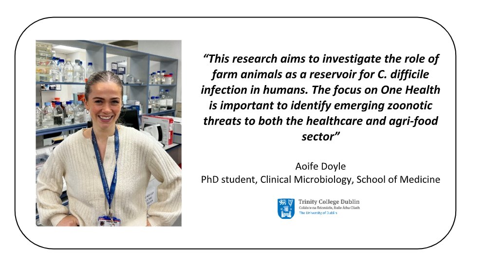 Aoife Doyle's research investigates the role of farm animals as a reservoir for C.difficile using Whole Genome Sequencing. This project is one of many being undertaken within the School of Medicine, detailed in the new brochure: tcd.ie/medicine/resea… <a href="/TrinityMed1/">School of Medicine, Trinity College Dublin</a> #MedNews