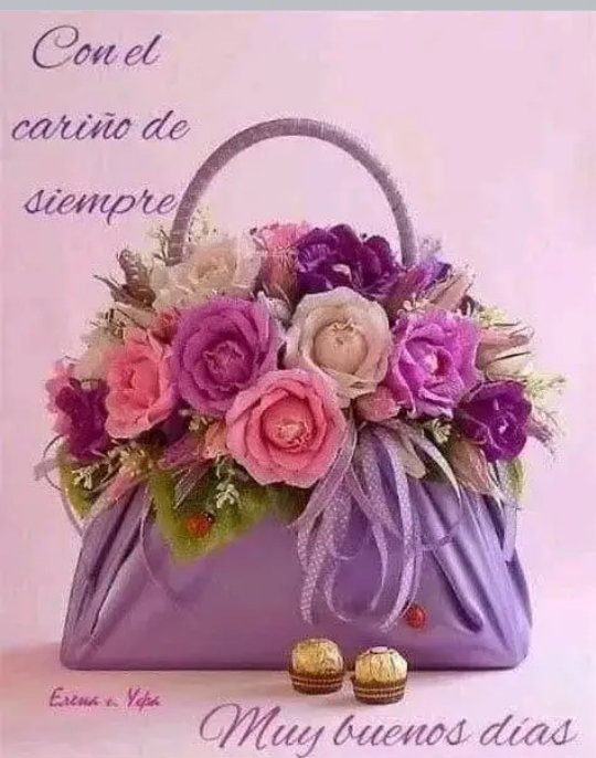 MisaelPinzon1's tweet photo. @b4byaurys https://t.co/XFJwpB4U1m
