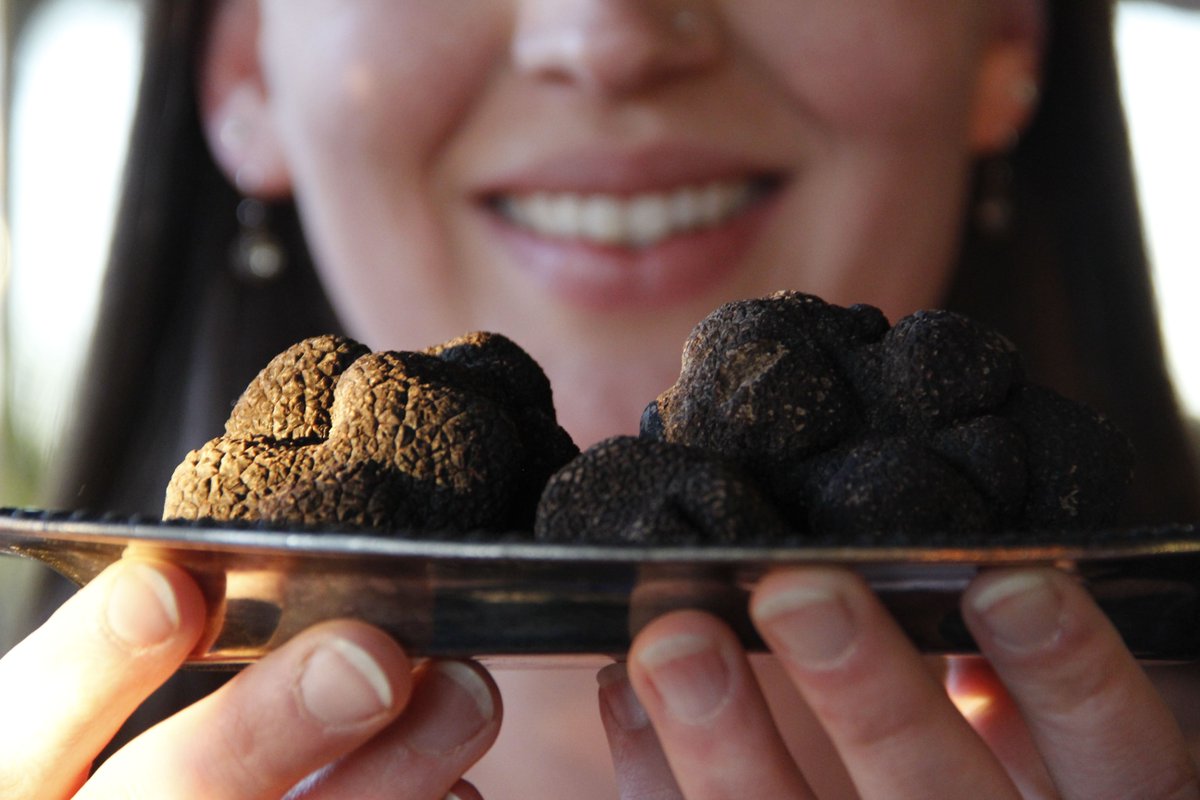 The highly-anticipated annual #NapaTruffleFest starts tomorrow! 

We look forward to seeing everyone for our truffle-centric events full of flavor, fine wine, and a wealth of knowledge. See you soon!

napatrufflefestival.com #TruffleFest