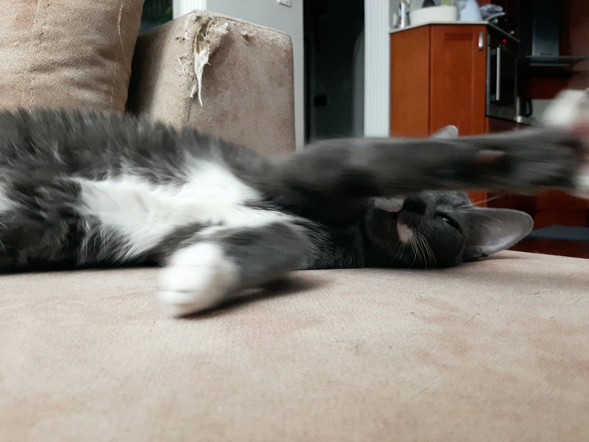 Kapatımısınız şu ışığı lüsfem gece yaramazlık yapmak içim güzemmik yukumu şimdi uyumam lasım