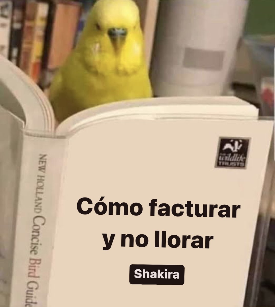 Guarromantico_'s tweet photo. https://t.co/LKZJU8HeXJ