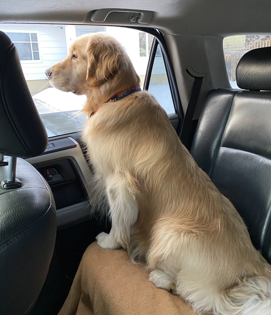 Off to support my youngest sister in getting into school. I’m not sure what they do in there but she sure finds it hard to get in. ❤️🐾 #anxietysucks