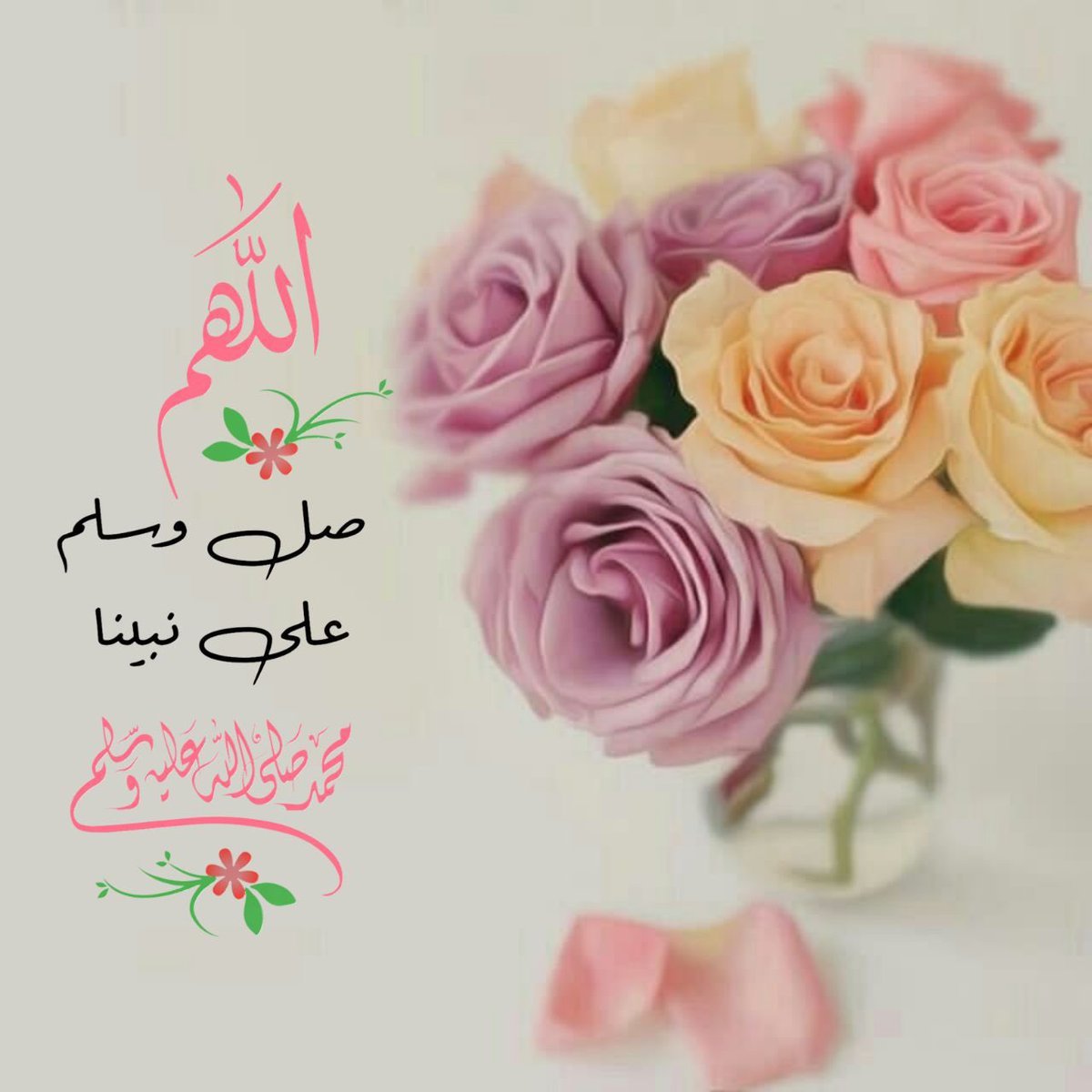 مساء الخير 🌹 
مســـــاااائي هدوء أنيق.

أنتم فيه شموعاً تنير لحظاتي
مســــــــاااائي بستان ورود

أنتم به عبير يفيض شذاه ليملأ الارجاء
🌹مســــــــاااائي جمااال صآفي لا يكتمل إلا بكم♥️