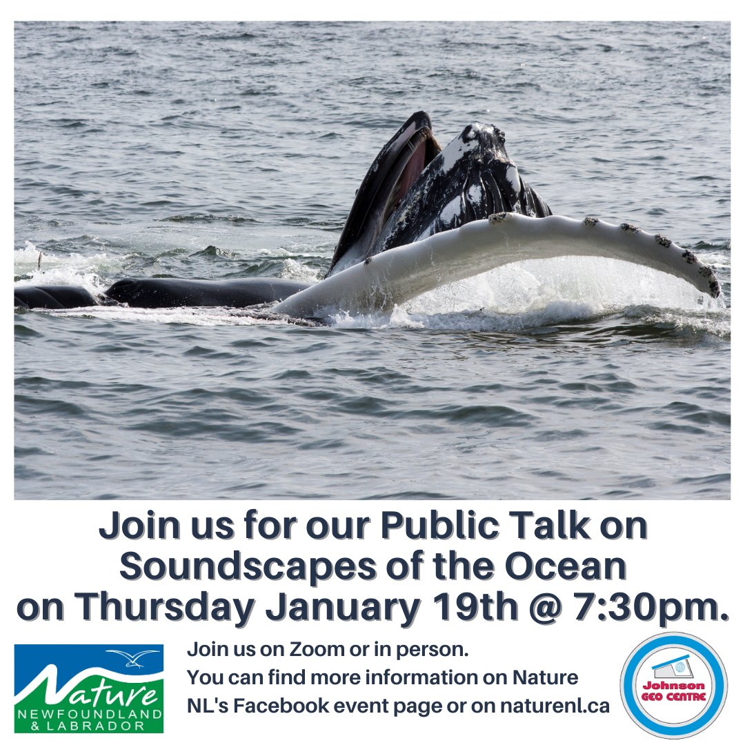 Join us for our first public talk of 2023 next Thursday, Jan 19th at 7:30pm @NLGEOCENTRE or online with @MUNGeog PhD Candidate Simone Cominelli. #explorenl #oceanconservation #newfoundlandandlabrador #naturenl