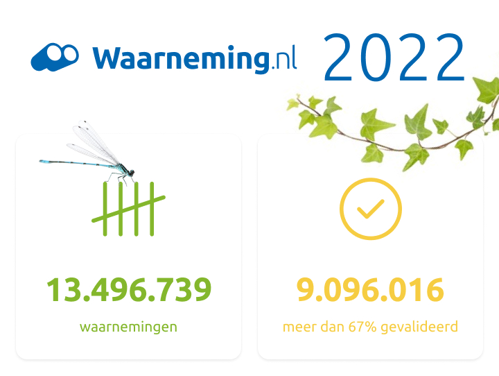 Waarneming.nl in 2022, wow. Enorm bedankt aan al onze waarnemers en validatoren! Wil je de hele 2022 terugblik zien? Kijk hier verder: eepurl.com/ih19T1