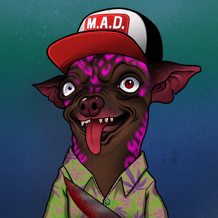 valleygirlvara's tweet photo. These chi chi’s are ready for mayhem! 😈 Thank you @Hynek_Maneuver for welcoming me to the  @madchihuahuaNFT fam! Super cool project at an affordable price. 💎 #madchihuahua https://t.co/IzM30Zy7M9