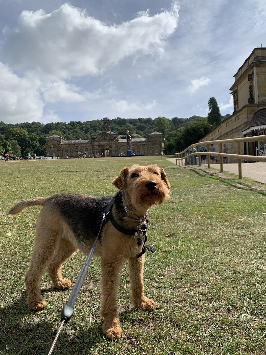 Rovernighter tweet media