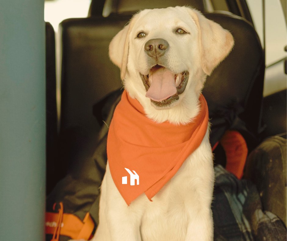 openhouseinsur's tweet photo. OpenHouse loves Humans and their pets!
 #pets #dogs #savings #homeinsurance https://t.co/aFUqNZ0kzn