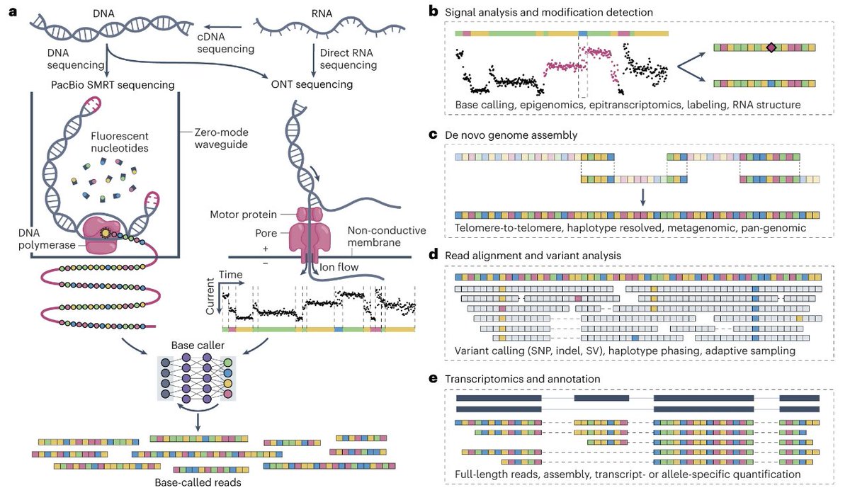 Nature Methods tweet media