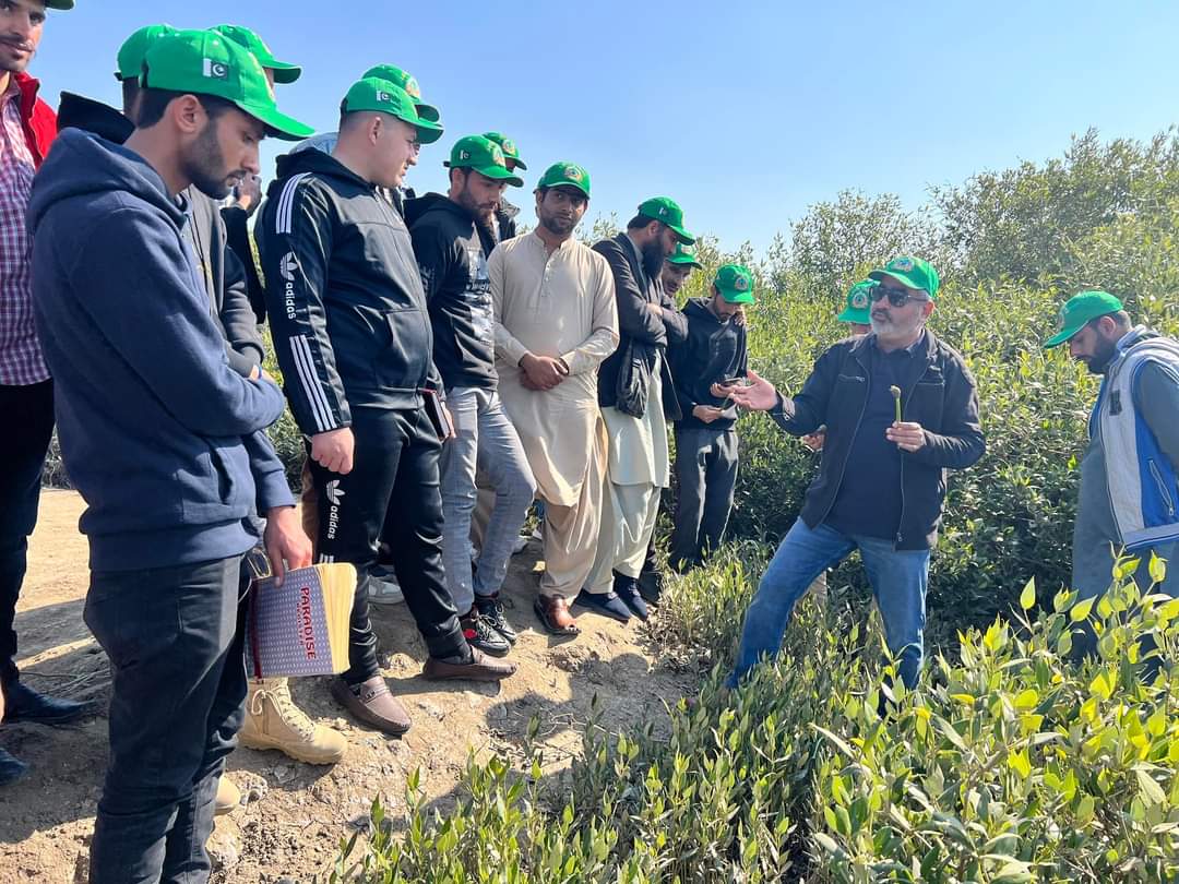 TalpurTaimur's tweet photo. Students of BS Forestry, University of Haripur visited mangrove forests at Karachi. They were briefed about management, Conservation and Protection of mangroves by SINDH Forest Department.
#CleanGreenSindh #SindhForestDept https://t.co/fu7cpTtJ6w
