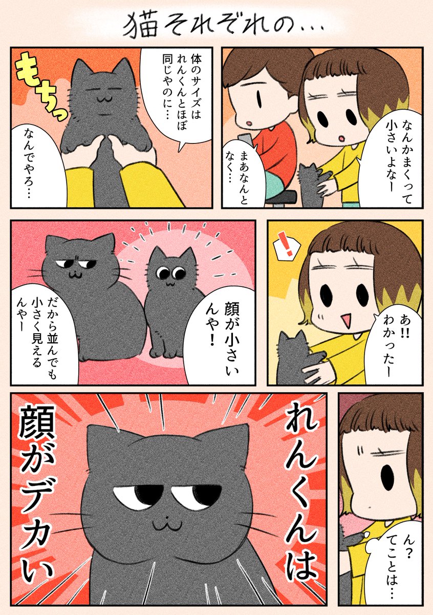 「猫それぞれの…」
大きい分安定感があり強く見えるので、それはそれで良し…!?(笑)

#漫画が読めるハッシュタグ
#日常
#猫 