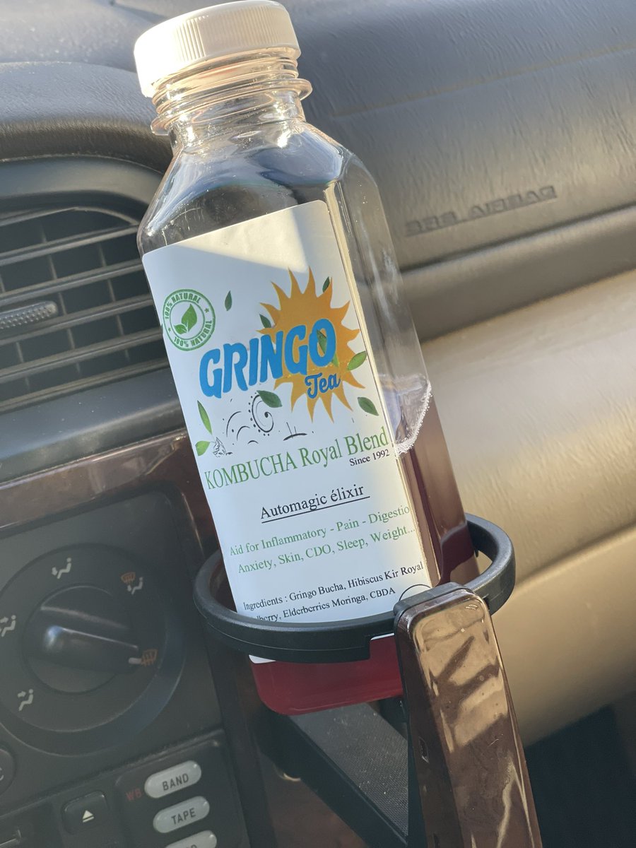 Gringo tea kombucha grab one and gooooo