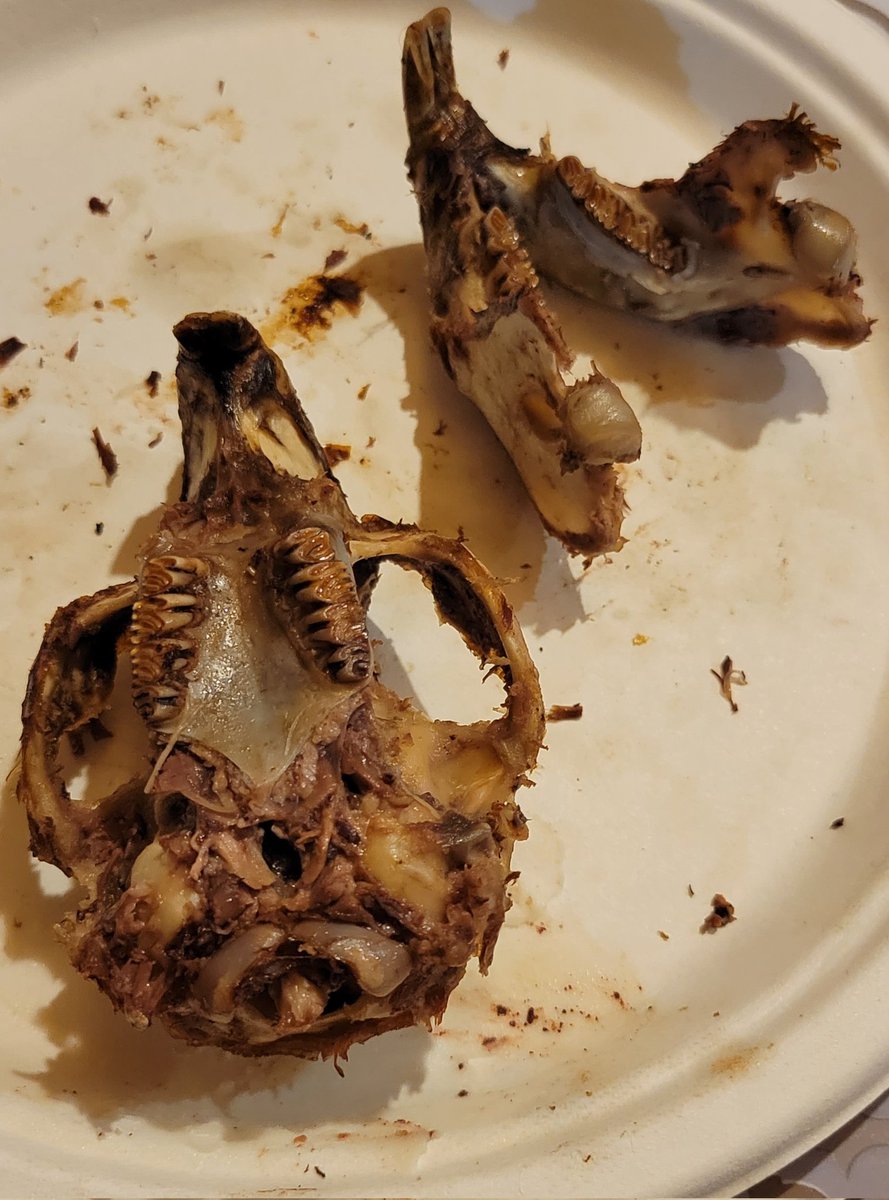WeistcheBrenda's tweet photo. Before and after ...I love eating the brain. 🦫 https://t.co/fYPzSslbLo