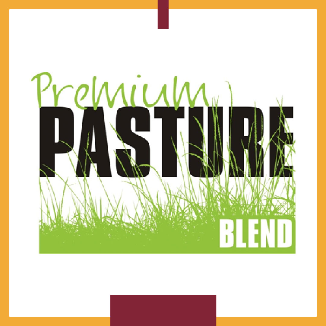 Are you ready for your pasture to green up earlier and stay green longer? Then, you'll want to choose Bamert's Premium Pasture Blend. Get yours here: ecs.page.link/QiQVJ 
#nativegrass #pasture #pasturegrass #grazing #grazinglands #cattle #cattlemen #ranch #ranching