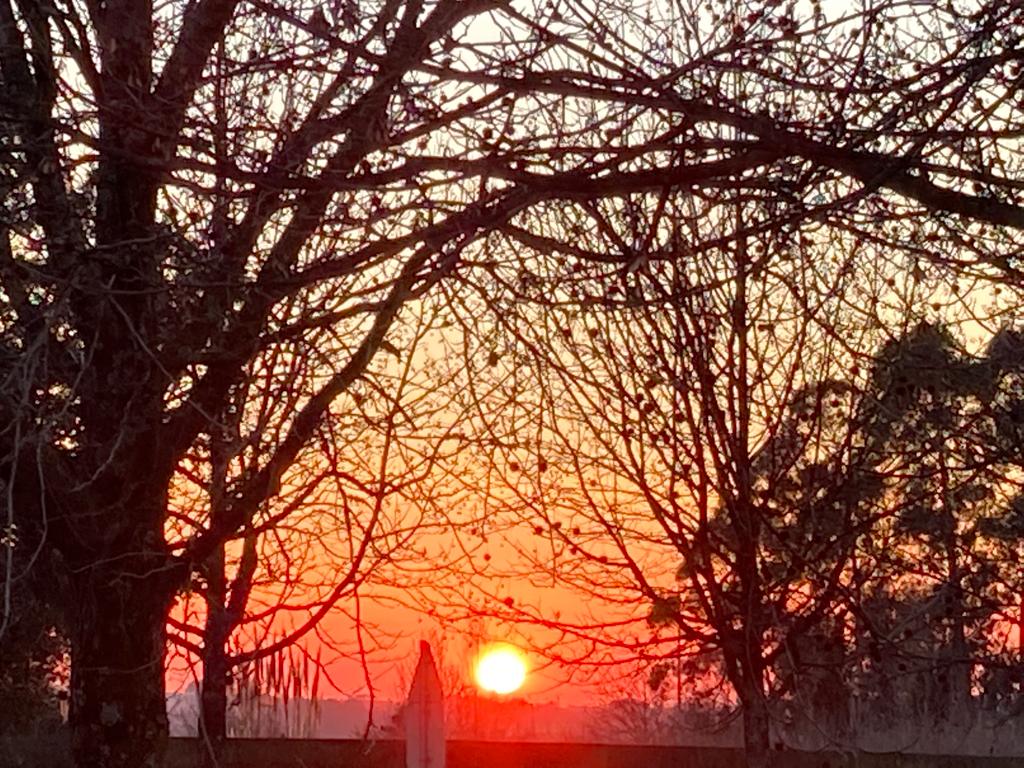 Thank you for the photos, Camilla and Simon. Looks like you're having a great time, can't wait to see more. 

Get on the road yourself this Winter with our seasonal deal - 

Free extras with the code: WINTER 
Only at the-getaway-van.com