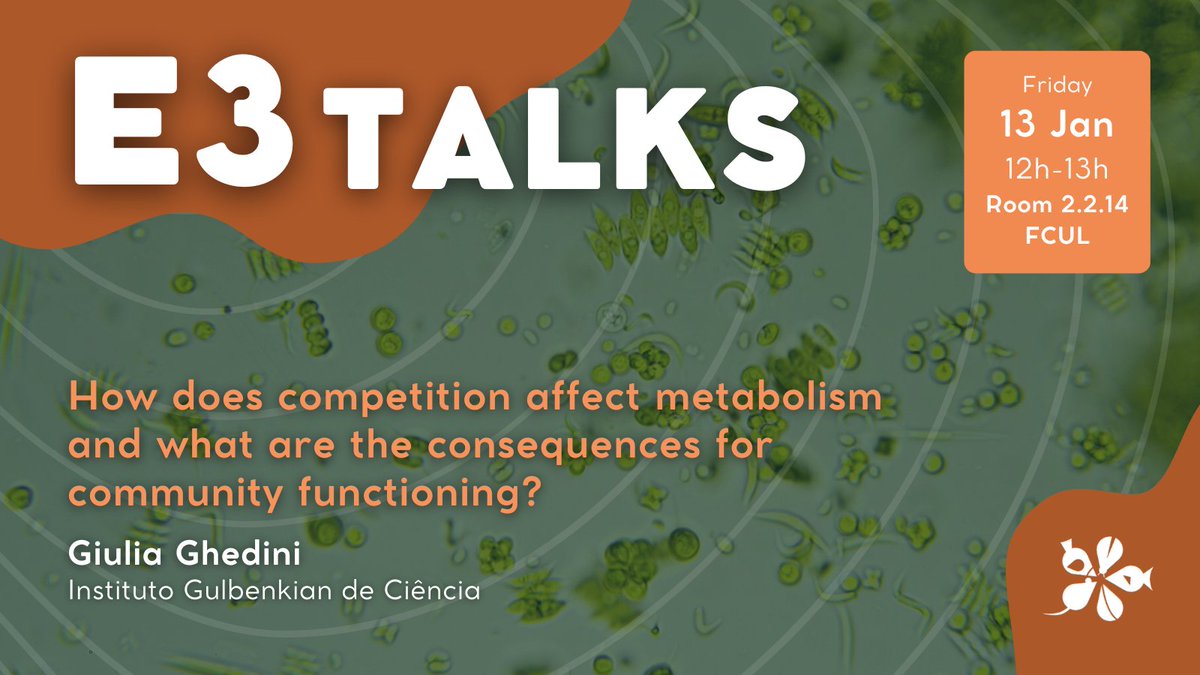 CE3CResearch's tweet photo. 📢 Tomorrow! #E3Talk with @giulia_ghedini, PI at @IGCiencia´s #FunctionalEcology Group!
How does competition alter the metabolism of individual organisms, and how these effects play out in communities? Looking at phytoplankton 🔎
+info: https://t.co/LYutmBPPZv
#cE3c #ce3cresearch https://t.co/edhP1icGnv