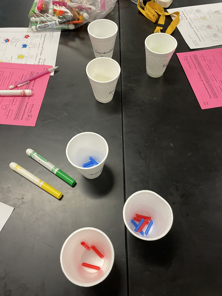 Kelli Shelly tweet media