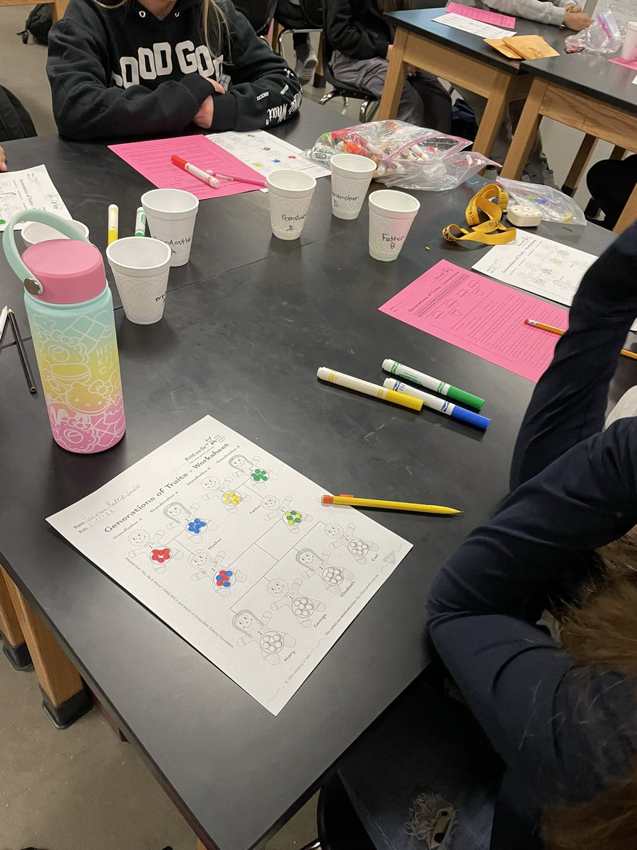 Kelli Shelly tweet media