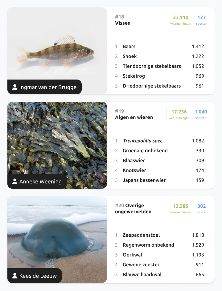 Nog even een shout-out naar de drie minst waargenomen soortgroepen op Waarneming.nl in 2022. Vergeet de vissen, algen en kwallen niet! Bekijk de hele terugblik hier: eepurl.com/ih19T1
