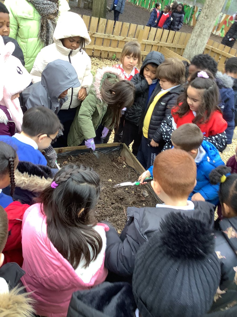 LarkHallPrimary's tweet photo. Year 1 have planted elephant garlic, broad beans and onion seeds. They spoke about what plants need to grow and were very happy when it started raining because they knew the plants need it! #lhtower #lhlondon #lhstu #naturalthinkers https://t.co/RED2FkwRU9