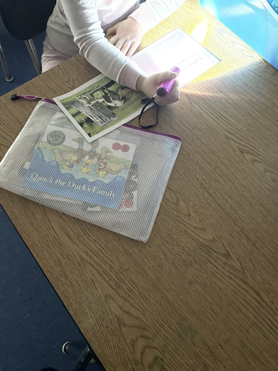 trustingreaders's tweet image. K teachers know how to make every day magical. Dark and gloomy outside means flashlight reading. #Independentreading