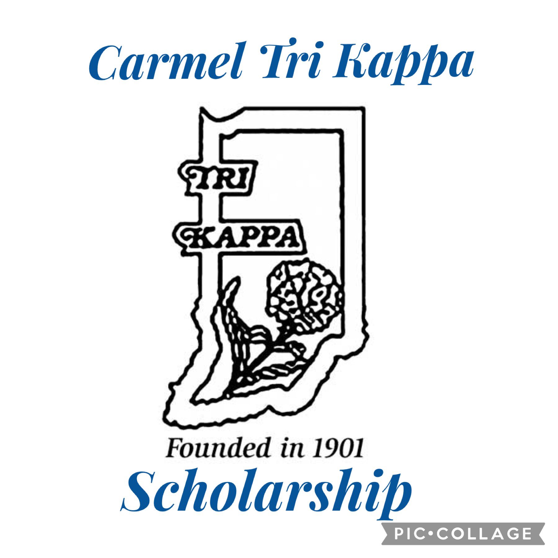 Carmel High School College & Career on X: "Tri Kappa is a Greek Service Sorority that supports a variety of Indiana projects that charity, culture and The chapter award