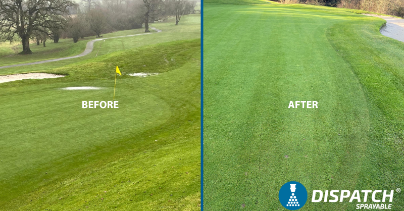 AquatrolsEurope's tweet photo. Standing water is a pretty common sight at the moment, much to the dismay of the turf manager. @Grabham3 at Farrington Park GC was experiencing standing water on this green but #DispatchSprayable has done the trick 👏