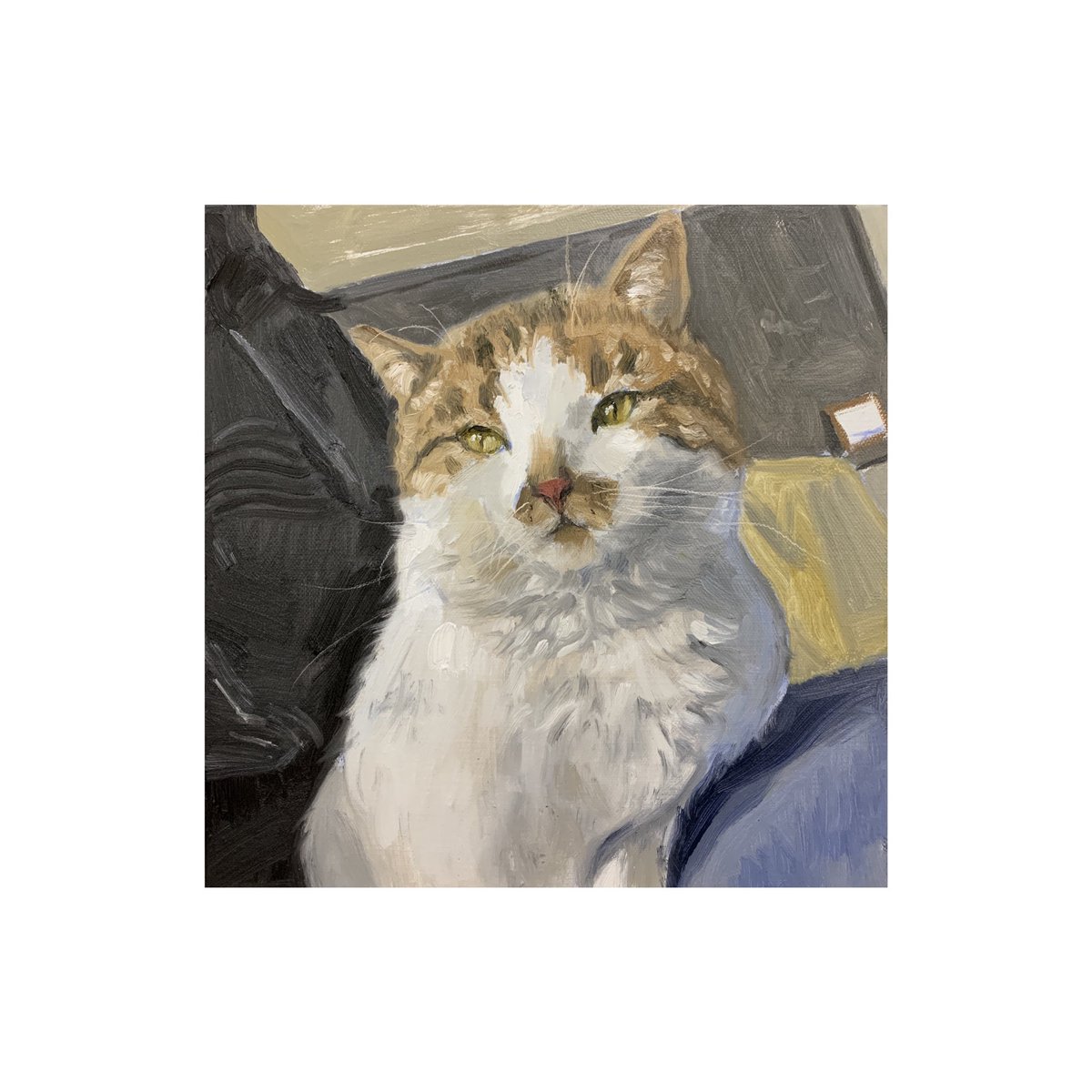 新疆买买提大仙 tweet media