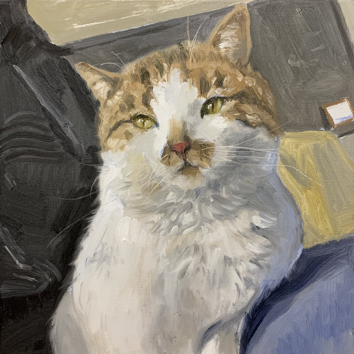 新疆买买提大仙 tweet media