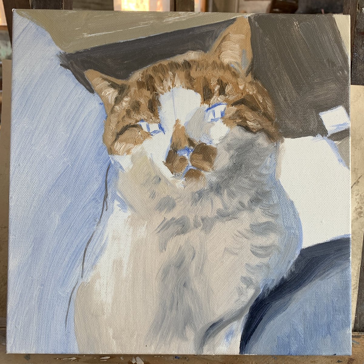 新疆买买提大仙 tweet media