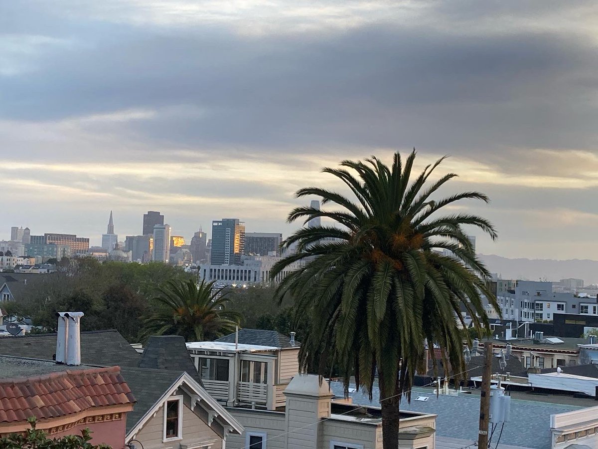 shivaunsay's tweet photo. Feels like the first day in over a week there hasn’t been rain in the morning… Time to obtain food & go to the Post Office without an umbrella or rain boots. Three more storms coming in starting tomorrow… #sanfranciscosunrise #overtherooftops #breakintherain https://t.co/iruBiRQt0O