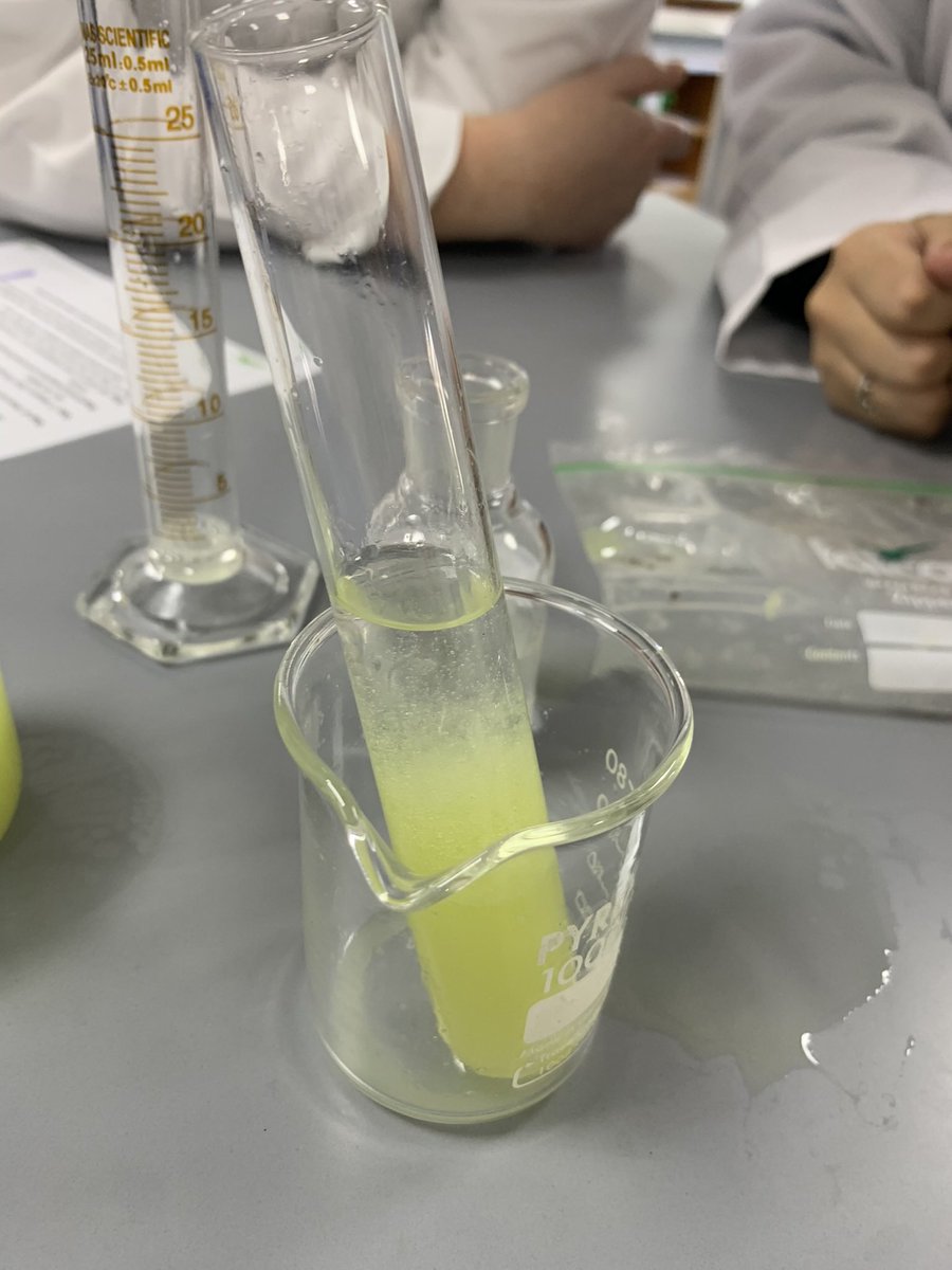 G10 <a href="/ibmyp/">IB MYP</a> Biologists have been busy extracting DNA 🧬 from kiwi fruit 🥝 with Miss Walker <a href="/UISDubai/">Uptown International School Dubai</a> <a href="/Taaleem/">Taaleem</a> this week! #proudlytaaleem