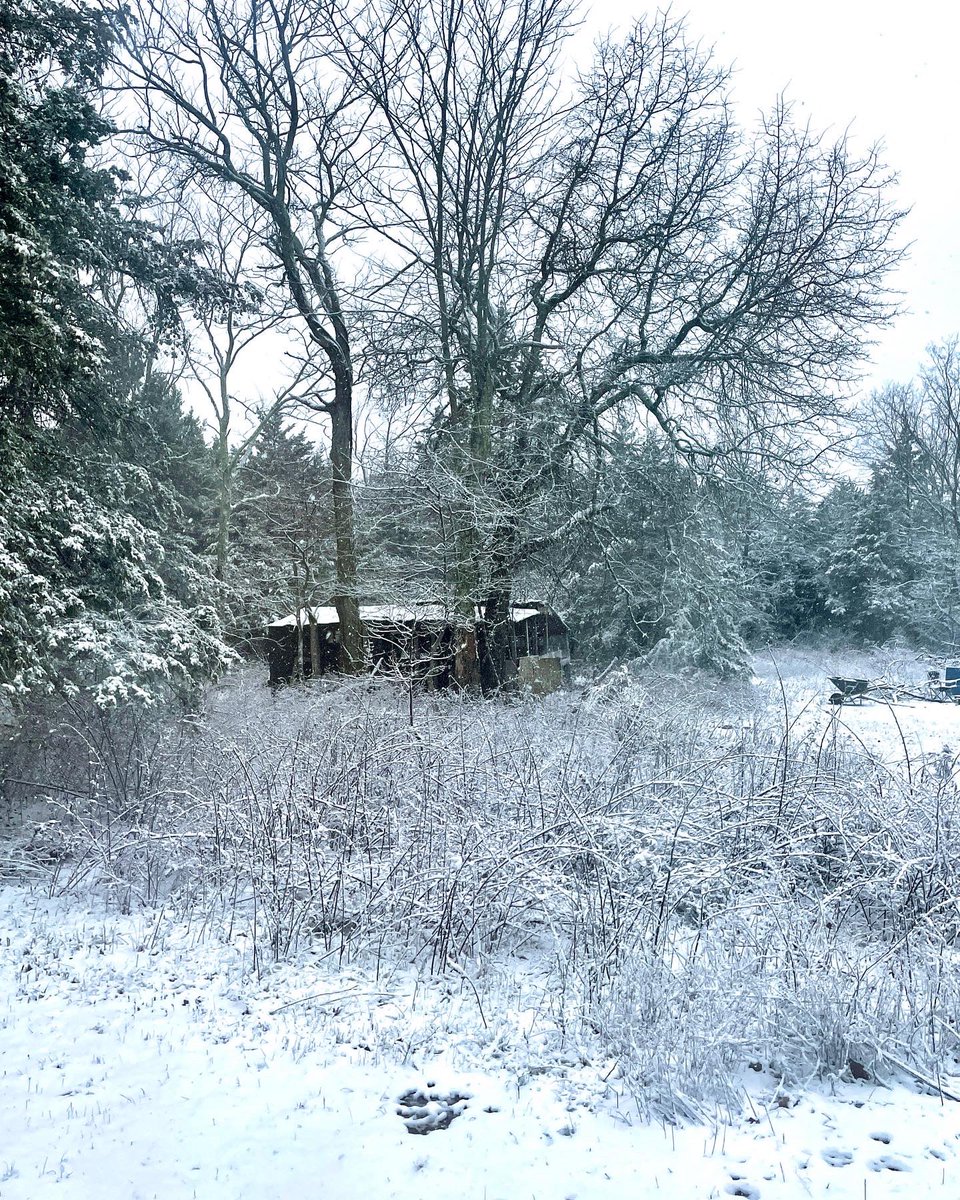 britton_casper's tweet image. Good Morning from Dixon, MO! ❄️ #photographer #weatherphotographer #stormtracker #snow @spann