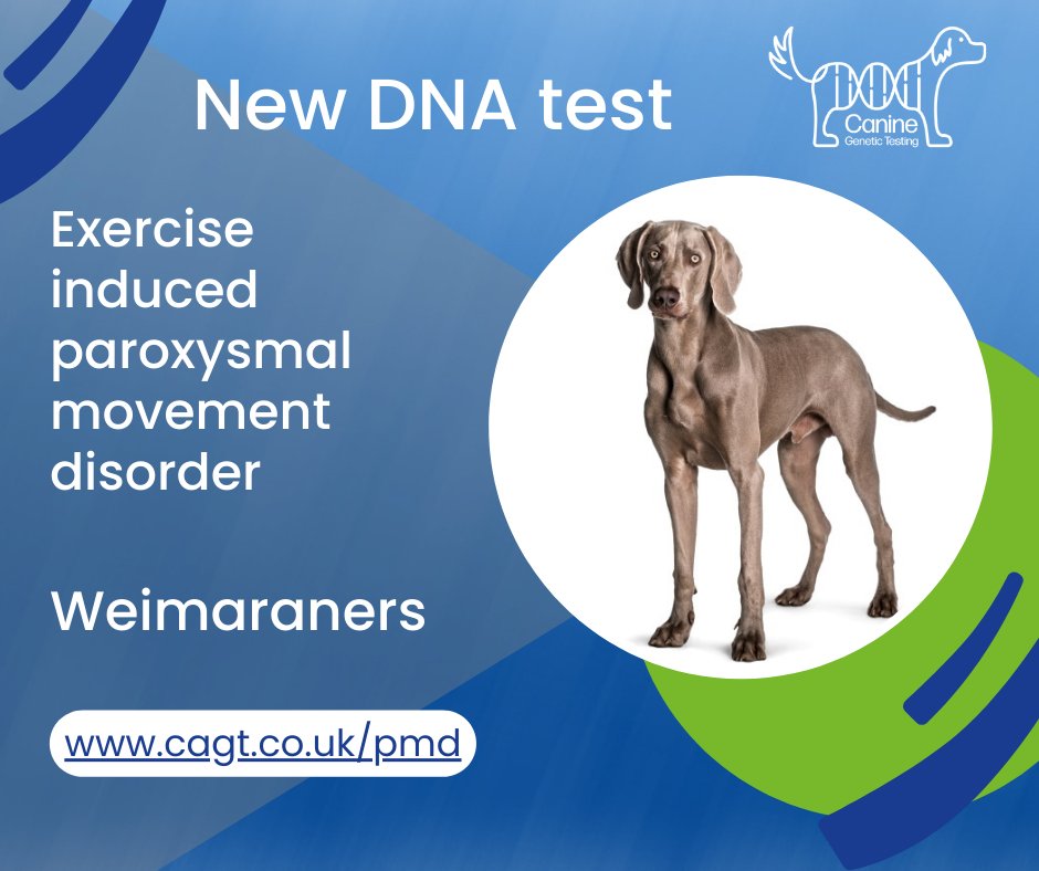 Canine Genetic Testing tweet media