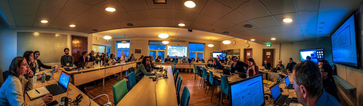 Mark Dickey-Collas 🏳️‍🌈 tweet media