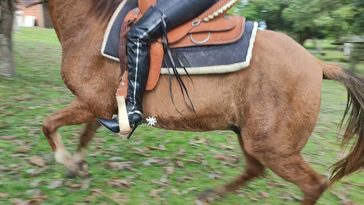 Goddess Belkys on Twitter "I just need a good pair of spurs😏"