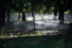 Whew! It looks as the current series of ☁️storms 🌧️ is mostly done, but more rain is in the forecast for parts of California this week. Remember to turn off your sprinkler systems.
 #AtmosphericRiver