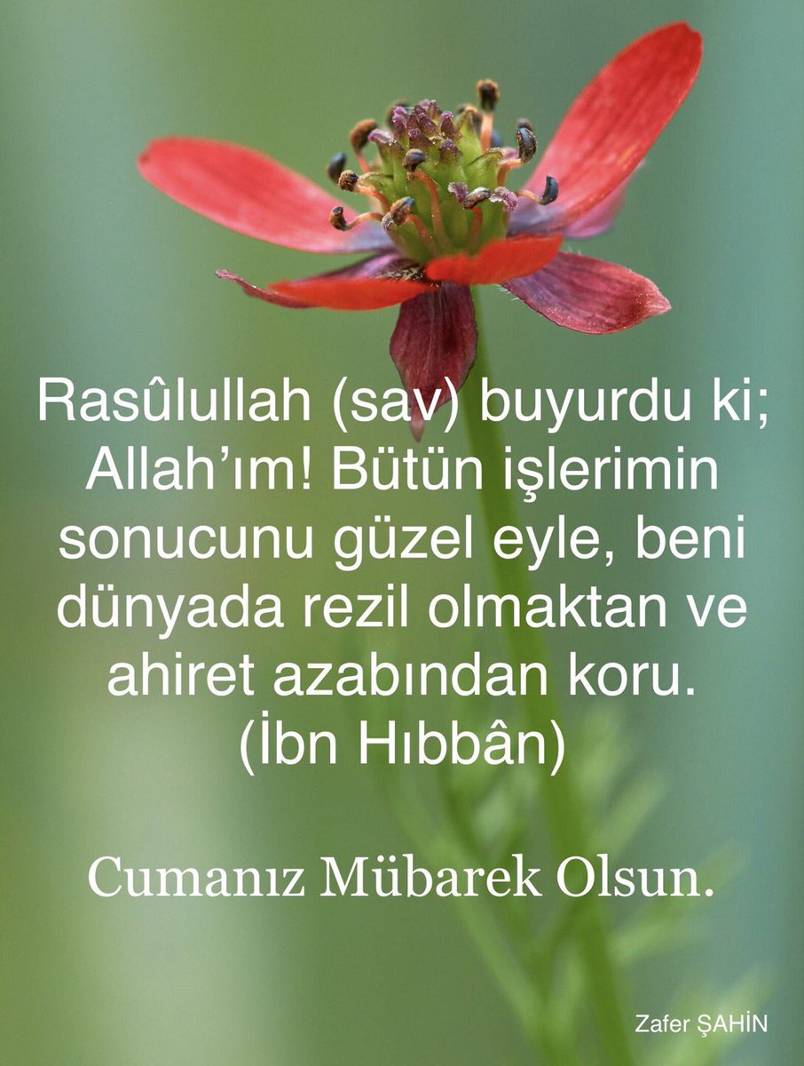 @2023_37 @meyup571 <a href="/omerarvas/">Ömer Arvas</a> <a href="/zafersahin571/">Zafer Şahin</a> <a href="/figennil/">Nil777⭐️11.22.33.44</a> <a href="/RizaAts/">Rıza ATEŞ🇹🇷</a> <a href="/Berzah77/">🔆 Berzah 🔆🇹🇷🇹🇷🇹🇷</a> <a href="/AVurganer/">@Nurbanu_Sultan1453</a> <a href="/cigdem1104/">Çiğdem XY</a> <a href="/ilmihalin/">İslam İlmihali</a> @TurgayGrgn6 <a href="/SugayipH/">Şugayip Haliloğlu</a> <a href="/AslMelis12/">Aslı Melis</a> <a href="/Meltem1ben/">Meltem🍃🍃</a> <a href="/aliriza55_/">ALI RİZA</a> <a href="/RifatZER4/">Rifat ÖZER</a> @SeyithanRazi <a href="/geylani16/">Seyyid Abdulgafur GEYLANİ</a> <a href="/GonulMazi/">Gönül Mazi</a> <a href="/EnesUnal16/">Enes Ünal</a> <a href="/enesbatur00/">Enes Batur</a>