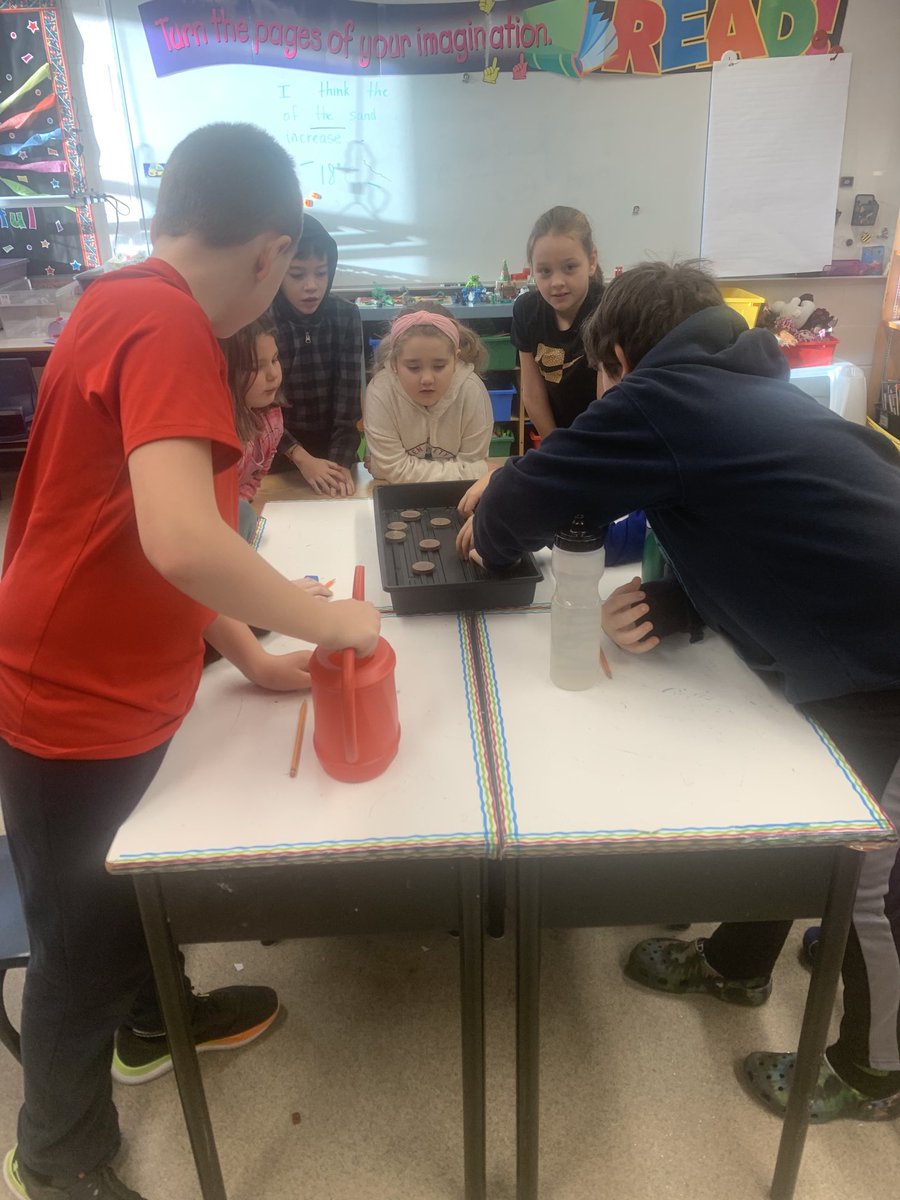 Shannon Taylor tweet media