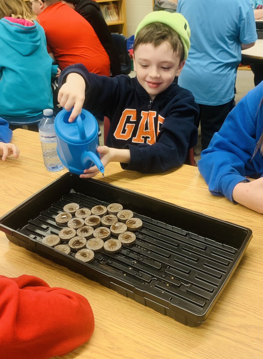 Shannon Taylor tweet media