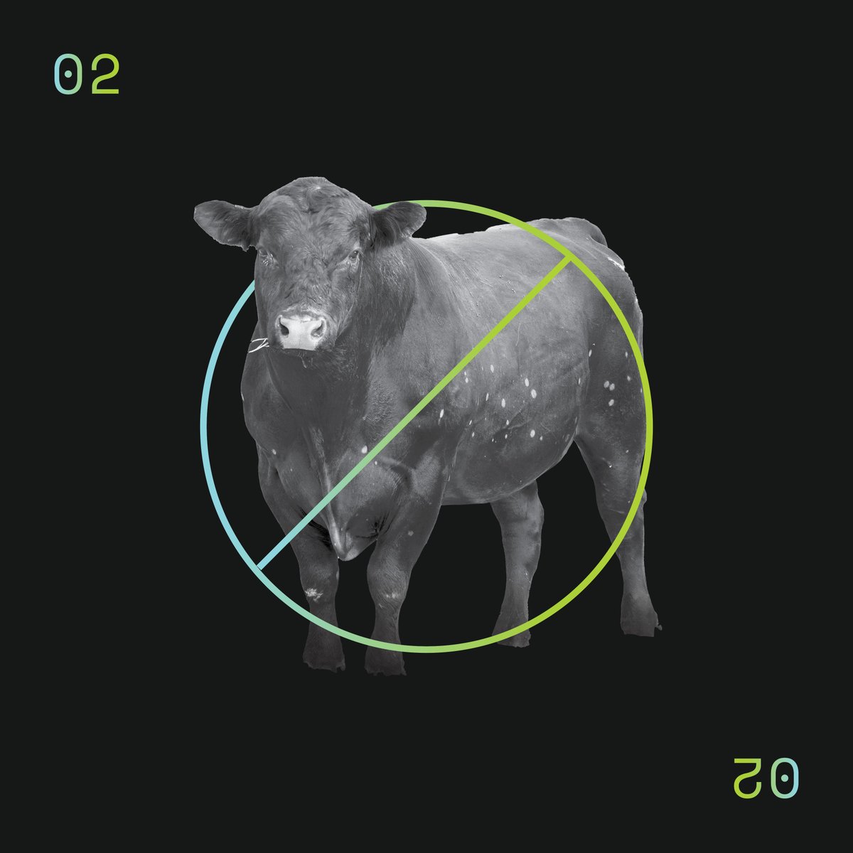 kctruth's tweet image. The new kctruth.com has launched. Now with 50% less bullshit!!!