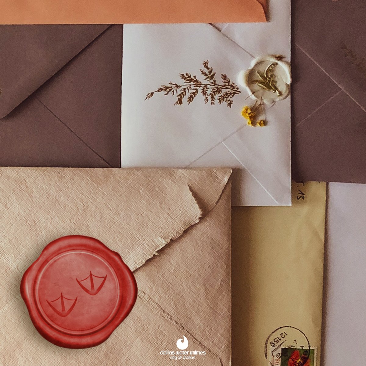 bachmanlakedam's tweet image. I may not have opposable thumbs, let alone hands, but I find ways to send personalized messages to loved ones. During #LetterWritingWeek, who will you reach out to? If you want to know more about the Bachman Lake project, you can write to us at bachmanlakedam.com/contact-us. 🦆 Marisol